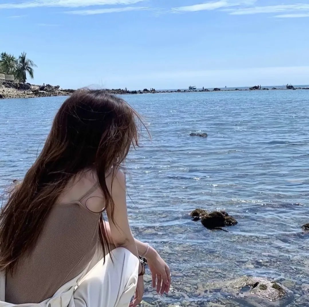 哈莱姆的郁金香